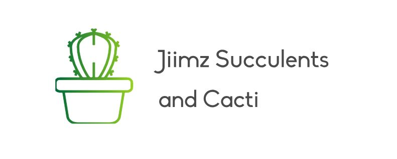 JIIMZ: SUCCULENTS AND CACTI